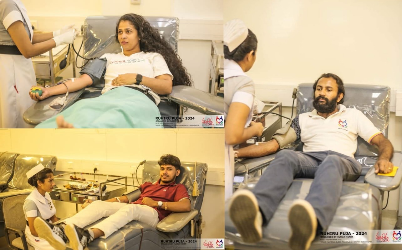 Projects 484798240 1550859992426569 7868483896715718268 N