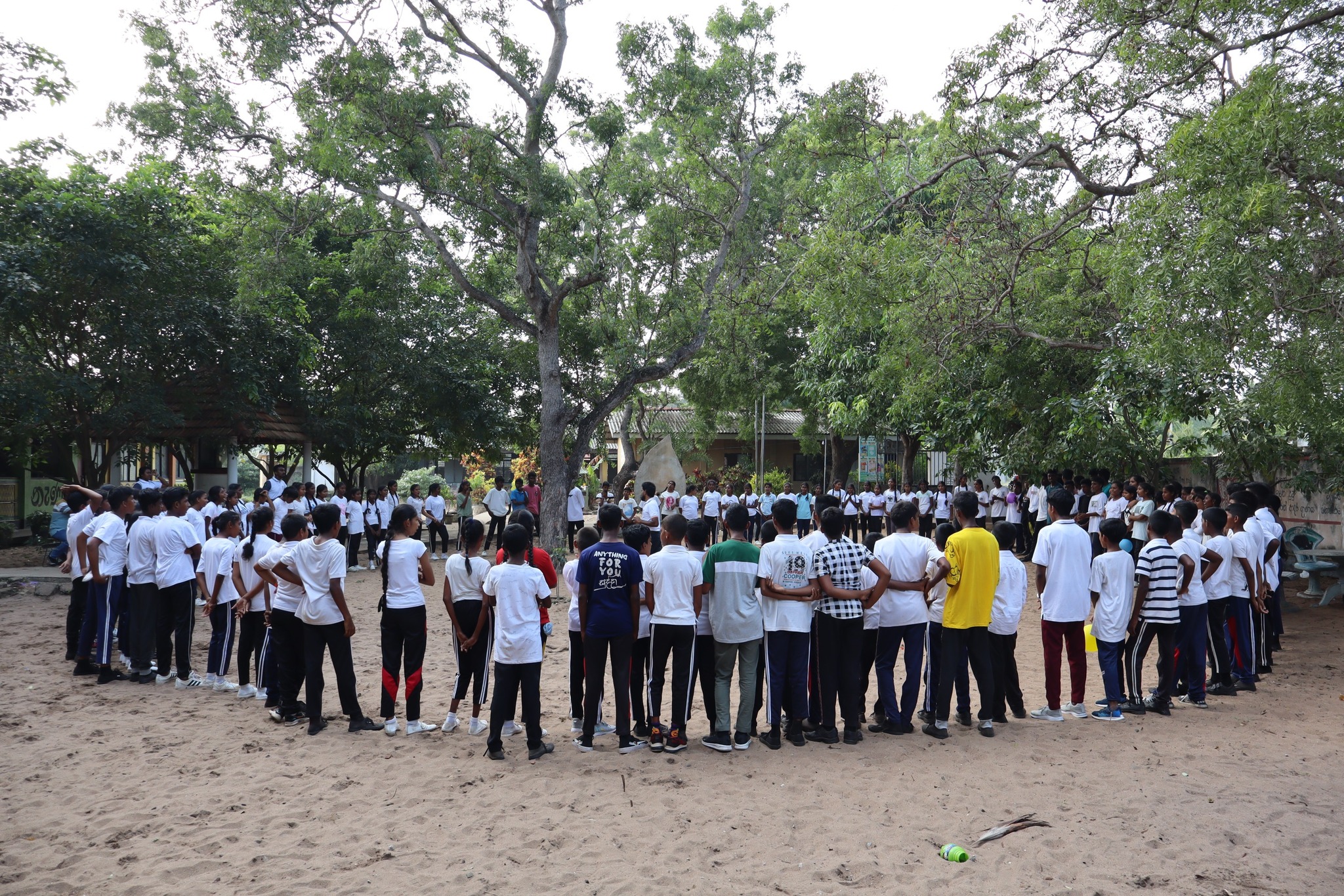 Projects 485125646 1551490875696814 505087251533177818 N