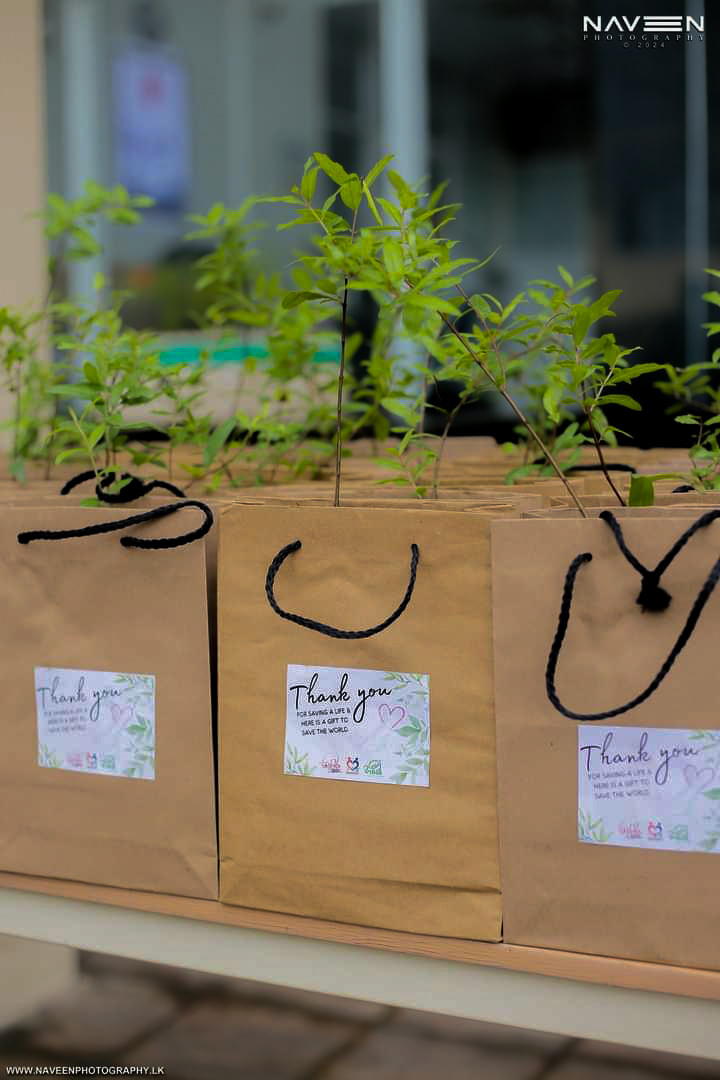 Projects 485159682 1550859999093235 6875037449632010249 N